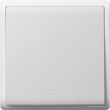 16AX 250V 1G 2W SW W/FLOU, WE